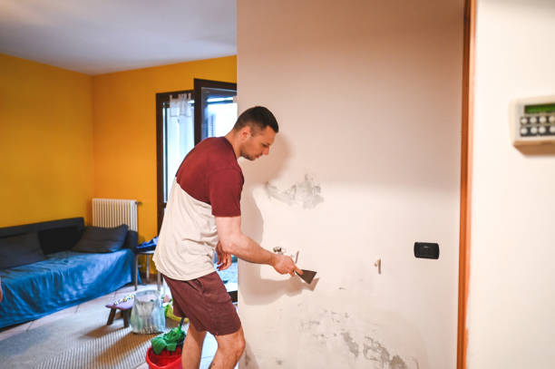 Best Mold Testing and Inspection Services in Hopewell, NJ