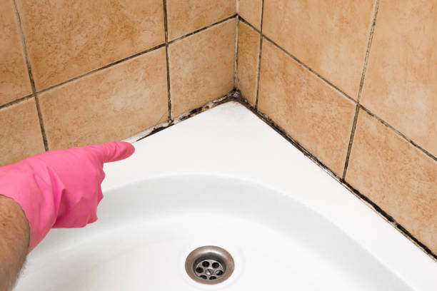 Trusted Hopewell, NJ Mold Remediation Experts
